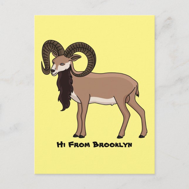 Mouflon goat illustration  postcard (Front)