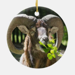 Mouflon Ram Ceramic Ornament