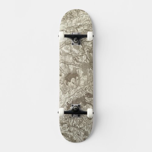 Moulins Skateboard