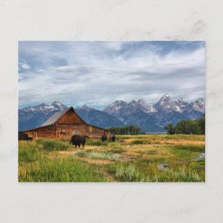 Moulton Barn Postcard