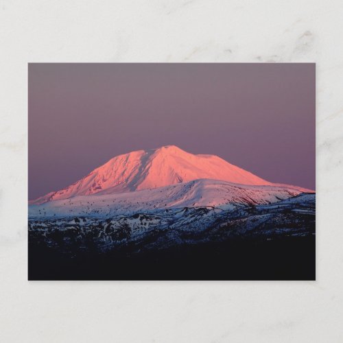 Mount Adams Snowy Peak At Sunset Postcard