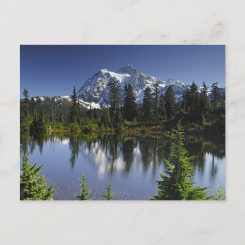 Mount Baker_Snoqualmie National Forest Postcard