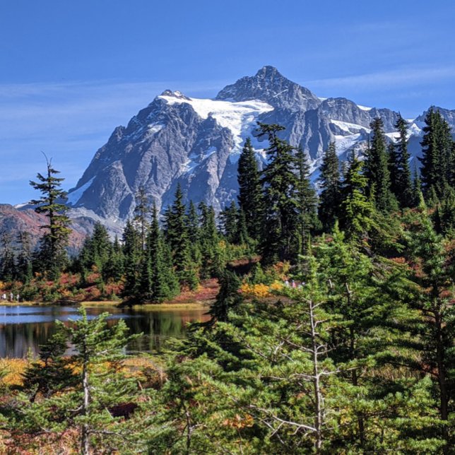 Mount Baker, Washington Fall Color Poster (Creator Uploaded)