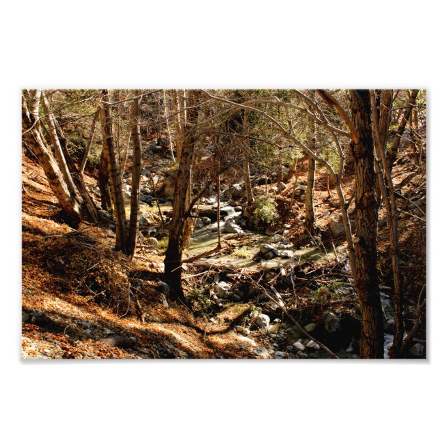 Mount Baldy Photo Print (Front)