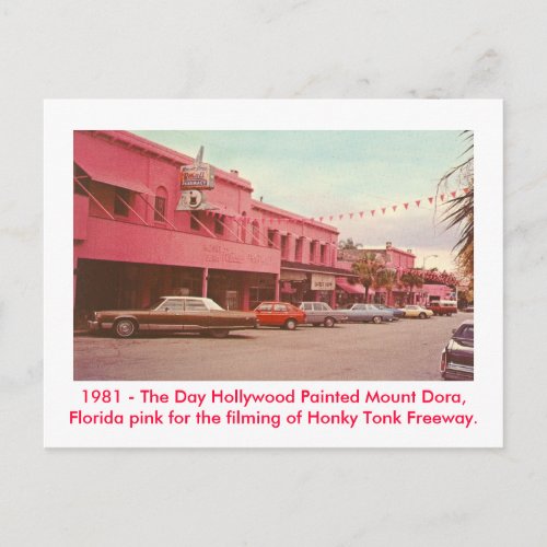 Mount Dora Fl _ Painted Pink Postcard