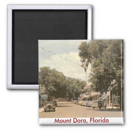 Mount Dora Florida Magnet