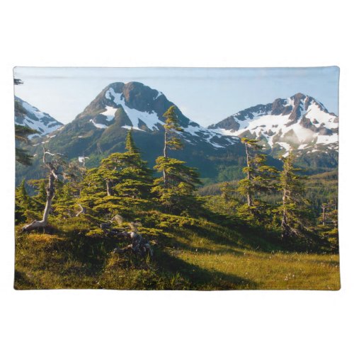 Mount Eccles near Cordova Alaska Cloth Placemat