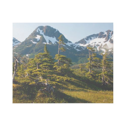 Mount Eccles near Cordova Alaska Gallery Wrap