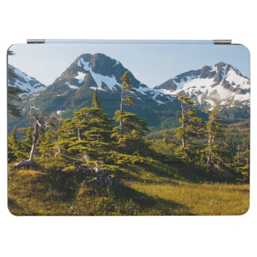 Mount Eccles near Cordova Alaska iPad Air Cover