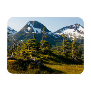 Mount Eccles near Cordova, Alaska Magnet