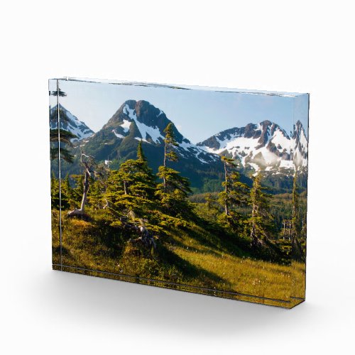 Mount Eccles near Cordova Alaska Photo Block