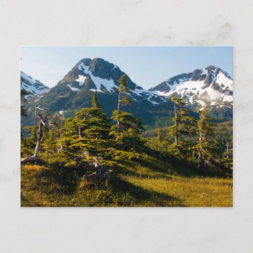 Mount Eccles near Cordova Alaska Postcard