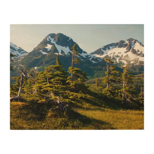 Mount Eccles near Cordova Alaska Wood Wall Art