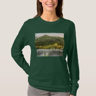 Mount Equinox, Manchester, Vermont Vintage