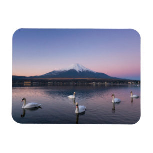 Mount Fuji   Yamanaka Lake with Swans Magnet
