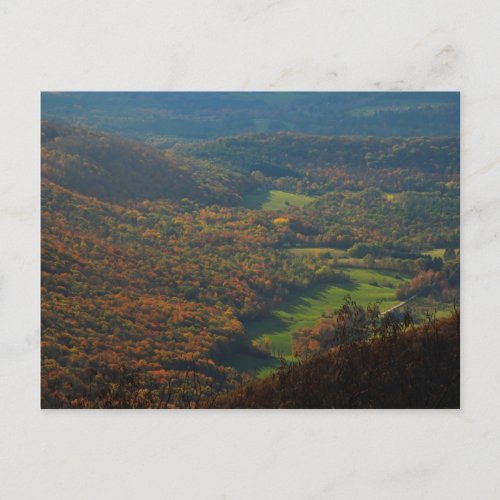 Mount Greylock Foliage View Postcard