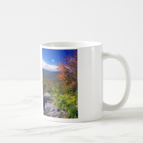 Mount Greylock Round Rock Vista Coffee Mug