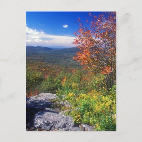 Mount Greylock Round Rock Vista Postcard