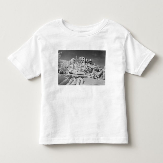 Mount Hamilton, California Lick Observatory Toddler T-shirt (Front)