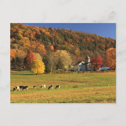 Mount Holyoke Farm in Autumn Postcard