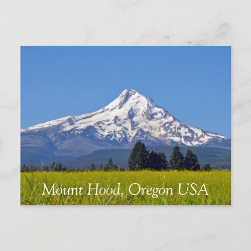 Mount Hood in Oregon USA Postcard