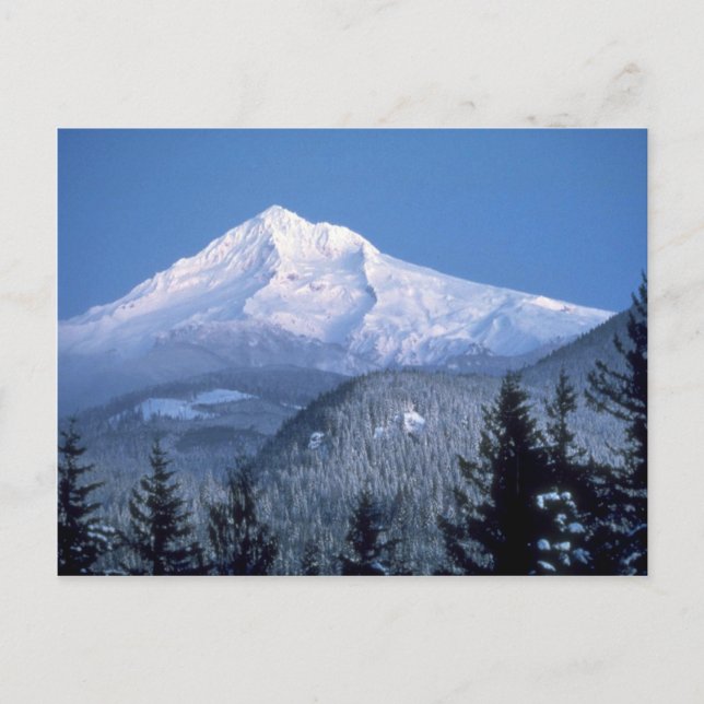 Mount Hood, Oregon Postcard (Front)