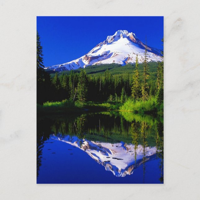 mount hood oregon scenery snow postcard (Front)