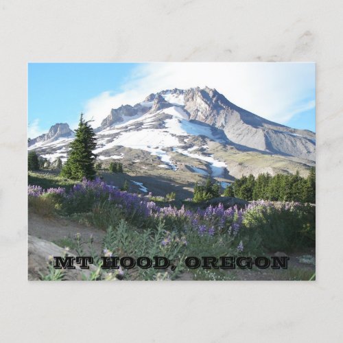 Mount Hood Oregon Travel Postcard