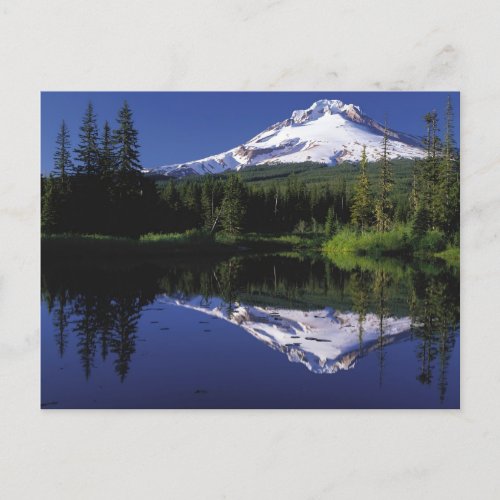 Mount Hood Postcard