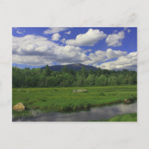 Mount Katahdin from Golden Road Postcard