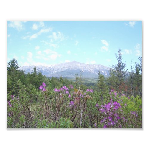 Mount Katahdin with purple flowers Katahdin Photo Print