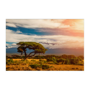 Mount Kilimanjaro Amboseli, Kenya Acrylic Print