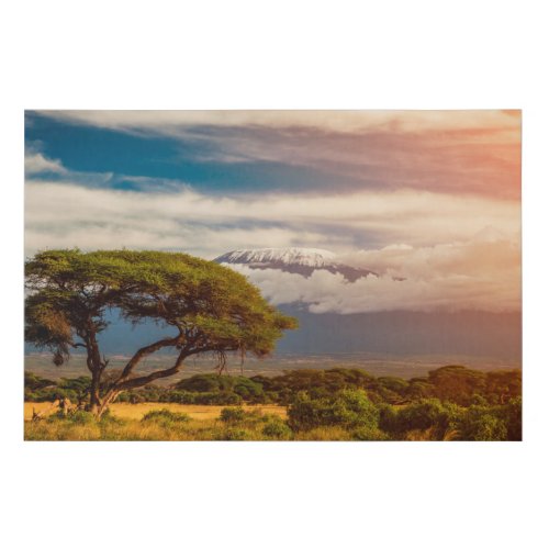 Mount Kilimanjaro  Amboseli Kenya Faux Canvas Print