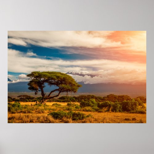 Mount Kilimanjaro  Amboseli Kenya Poster