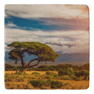 Mount Kilimanjaro   Amboseli, Kenya Trivet