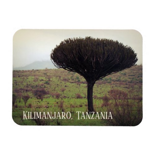 Mount Kilimanjaro Candelabra Tree Magnet