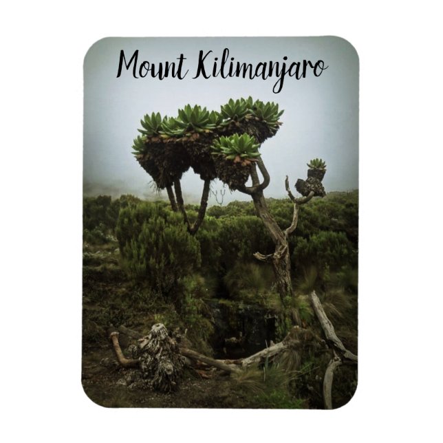 Mount Kilimanjaro Magnet (Vertical)