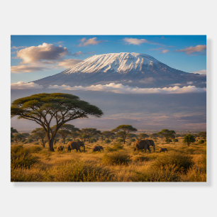 Mount Kilimanjaro Tanzania African Landscape Foam Board