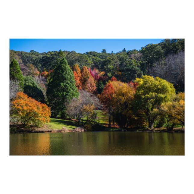 Mount Lofty Botanic Gardens Beautiful Autumn Photo Print (Front)