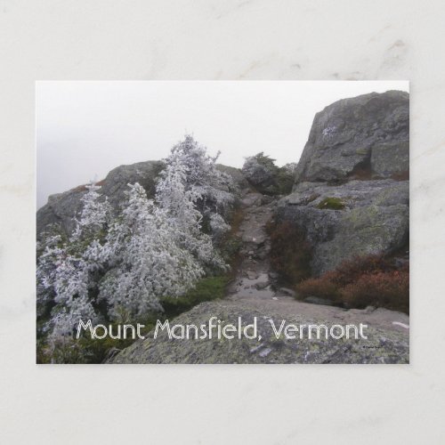 Mount Mansfield Vermont Postcard