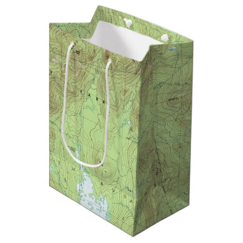 Mount Marcy Topographical Map _ Adirondack Park Medium Gift Bag
