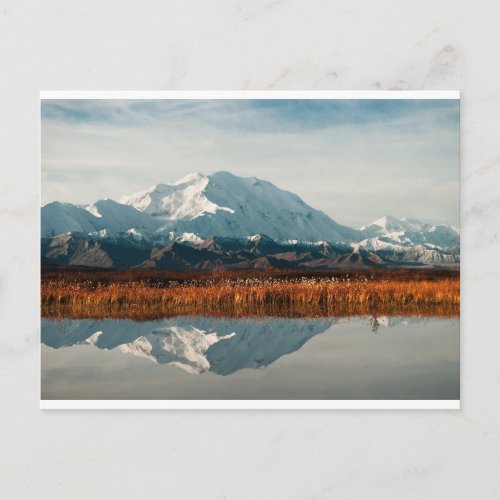 Mount McKinley in Denali NP Alaska Postcard