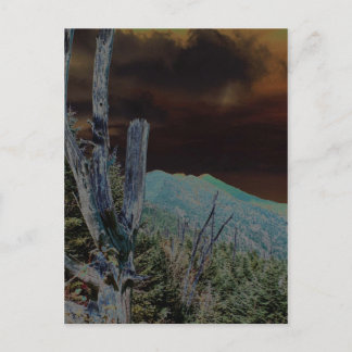 Mount Mitchell, North Carolina Postcard