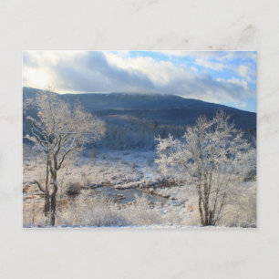 Mount Monadnock Winter Wetland Postcard