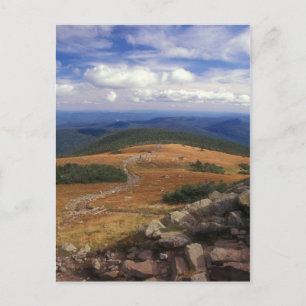 Mount Moosilauke Summit Trail Postcard