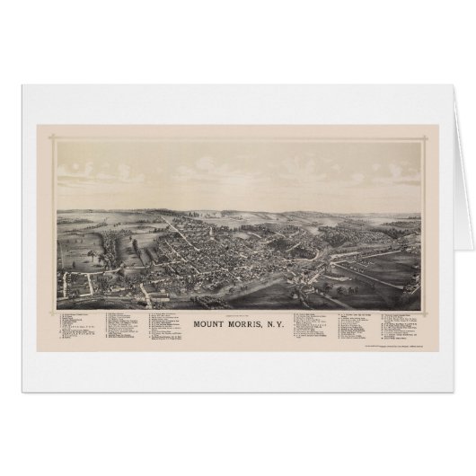 Mount Morris, NY Panoramic Map - 1893 Cards (Front Horizontal)