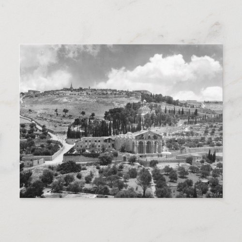 Mount of Olives and Garden Gethsemane in Jerusalem Postcard