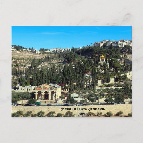 Mount Of Olives Jerusalem Holiday Postcard