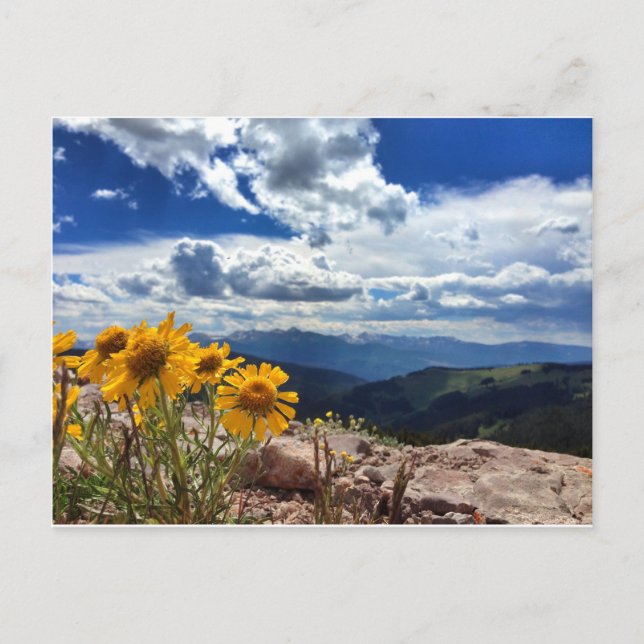 Mount of the Holy Cross Postcard (Front)