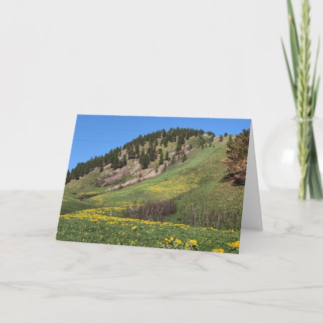 Mount Otis Havre, Montana Card (Front)